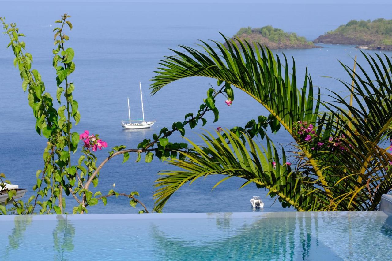Sunset Palm - Villa Creole Avec Piscine Face Au Coucher De Soleil Et A La Reserve Cousteau Bouillante Kültér fotó