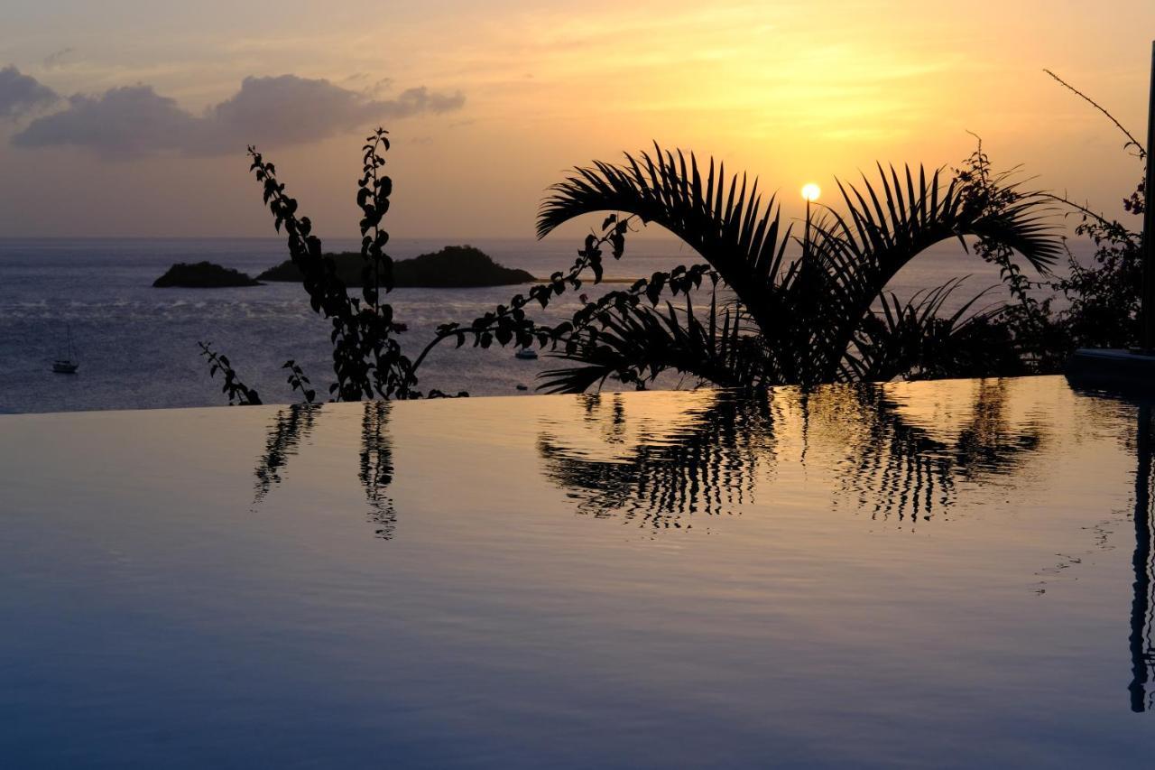 Sunset Palm - Villa Creole Avec Piscine Face Au Coucher De Soleil Et A La Reserve Cousteau Bouillante Kültér fotó