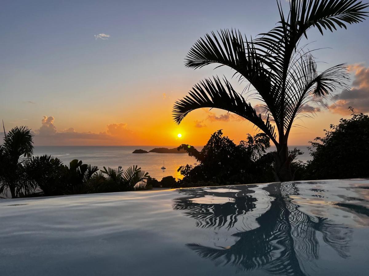 Sunset Palm - Villa Creole Avec Piscine Face Au Coucher De Soleil Et A La Reserve Cousteau Bouillante Kültér fotó